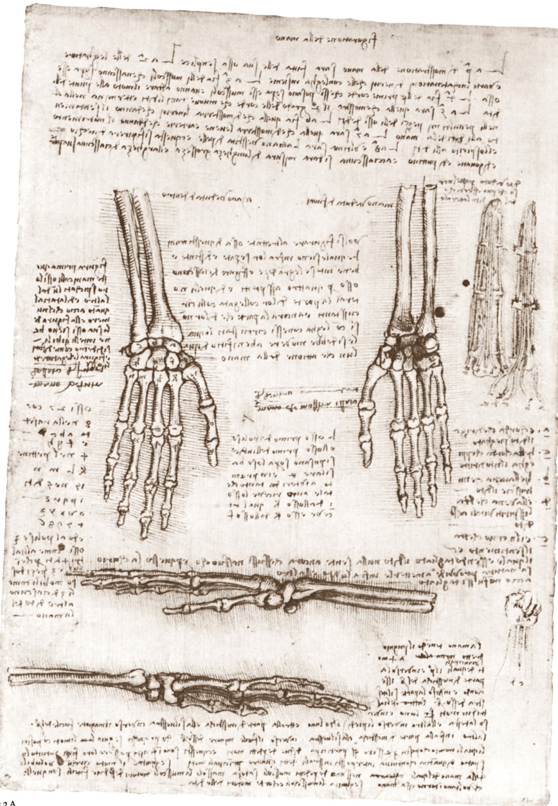 Leonardo+da+Vinci-1452-1519 (803).jpg